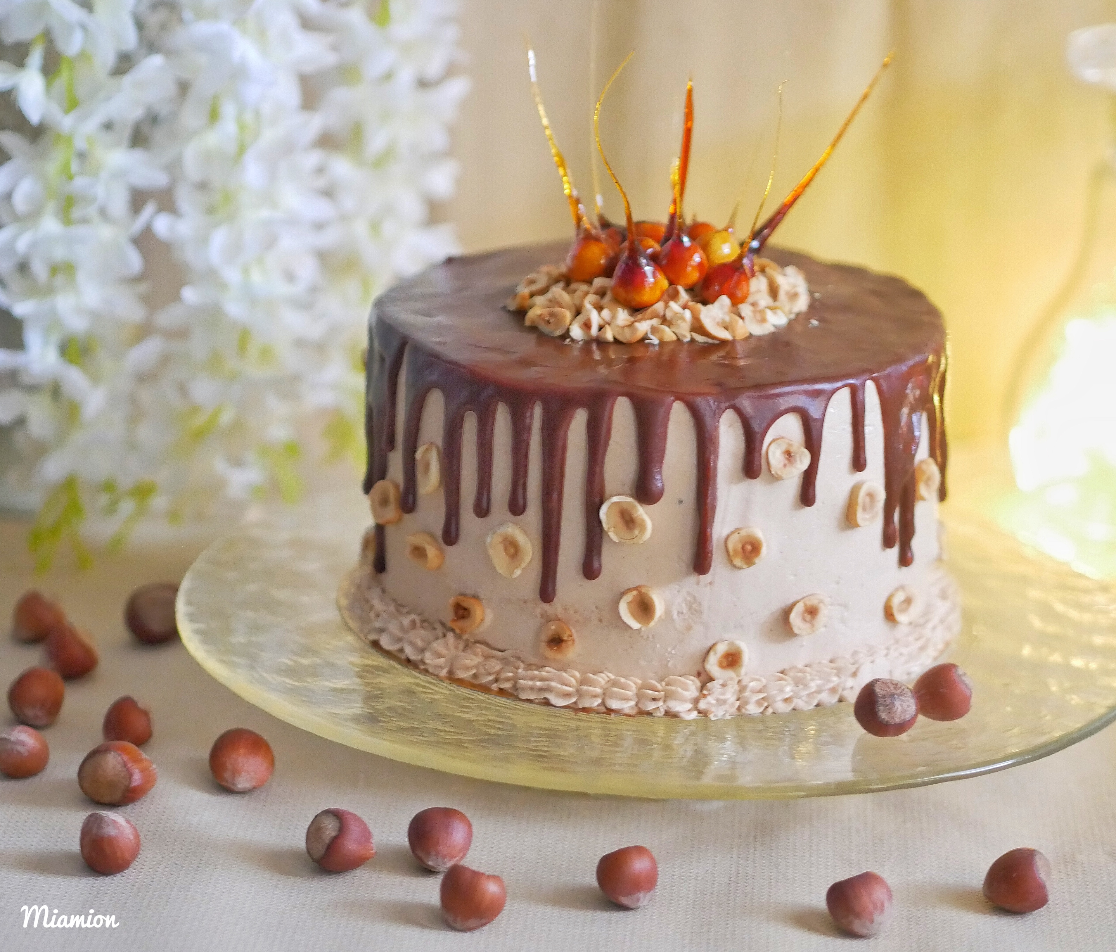 Layer Cake aux noisettes et chocolat - Recette Companion