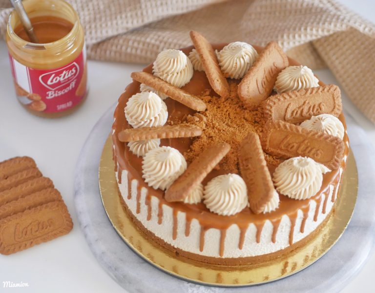 Cheesecake spéculoos