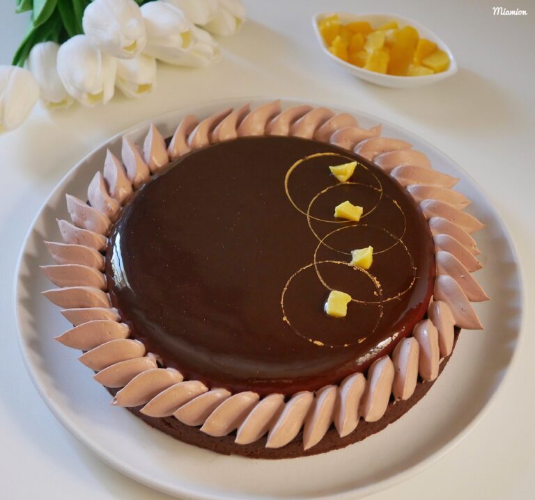 Tarte mangue chocolat