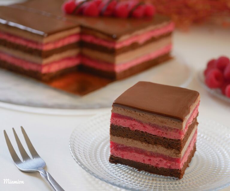 Gâteau chocolat framboises